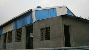 FRP Roofing Sheet Vadodara